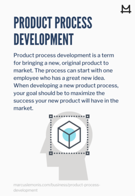 Definition of what a product process development is
