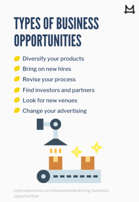 Various types of business opportunities