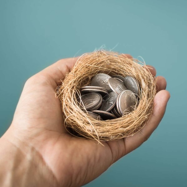 Bird's nest filled with quarters