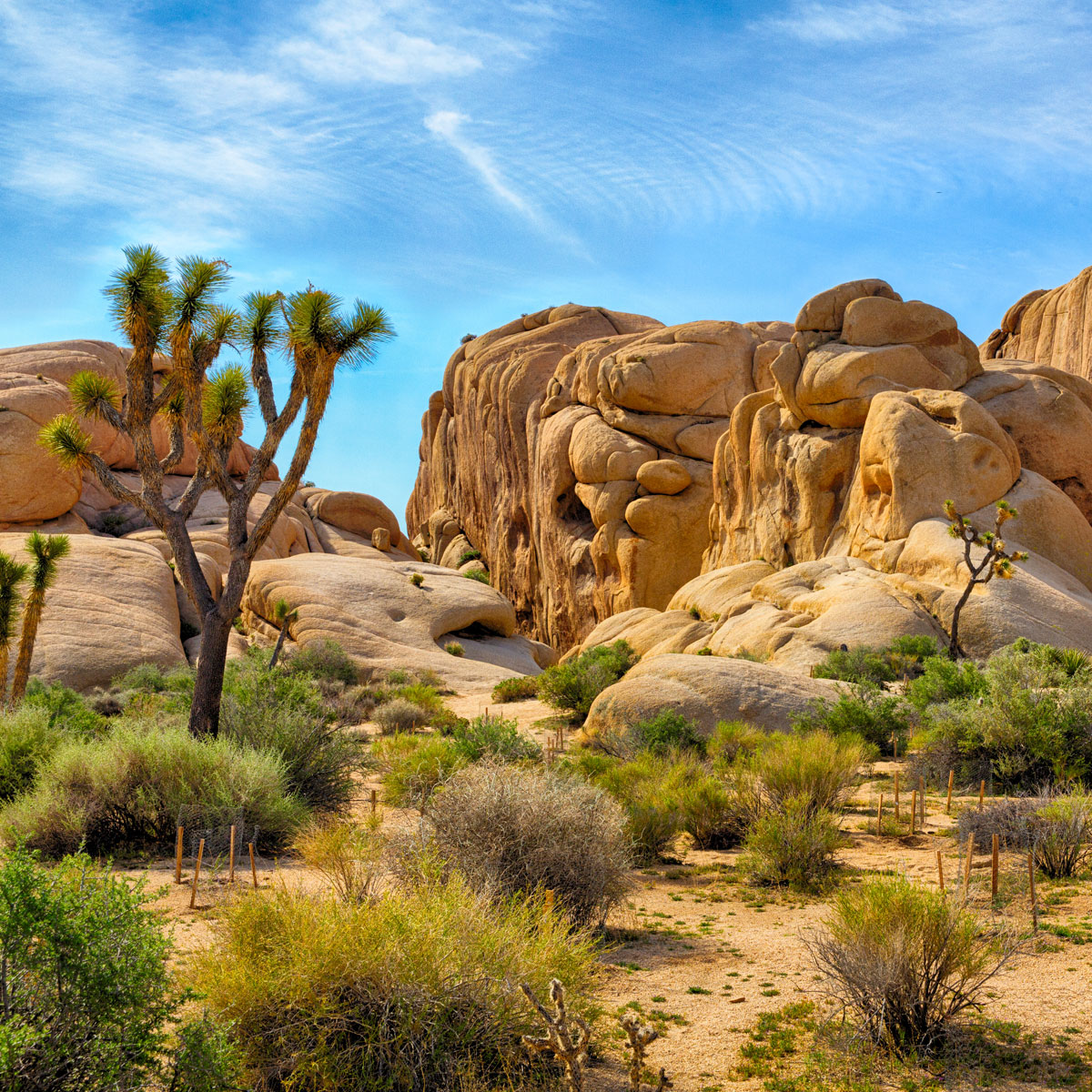 dessert rocks and mountains with greenery