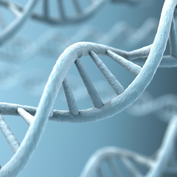 dna strands