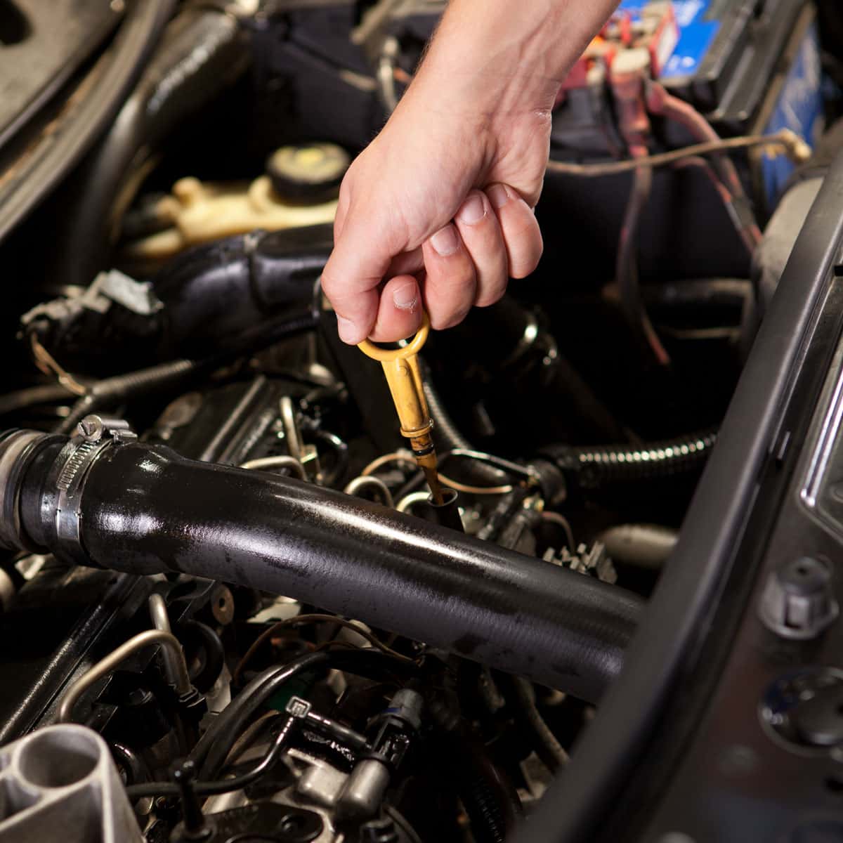 inside car hood checking oil