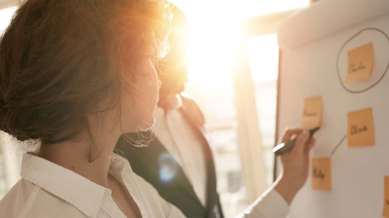 Image of someone presenting an idea.