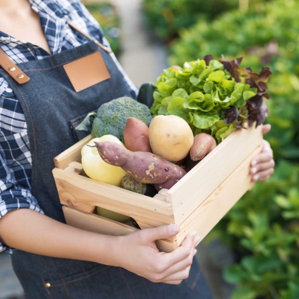Image of someone carrying a crate of vegetables.