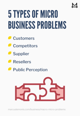 List of the types of micro business problems.